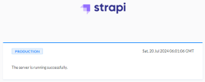 Strapi admin page not found